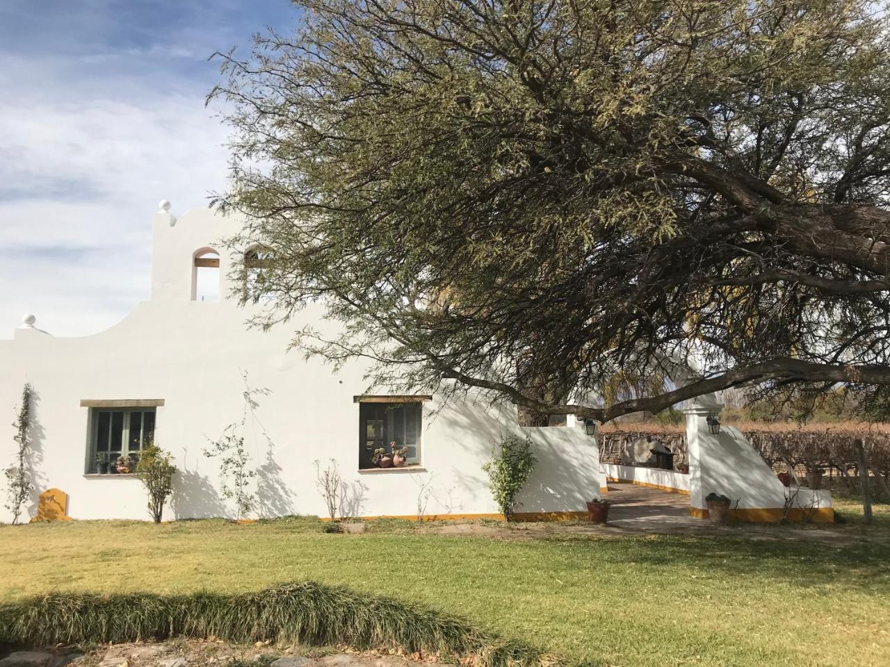 El Porvenir Casa De Bodega Bed & Breakfast Cafayate Exterior photo